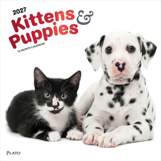 Plato; Kittens & Puppies | 2027 12 x 24 Inch (Hanging) Monthly Square Wall Calendar | Foil Stamped Cover; Category:Wall Calendars; Image:1